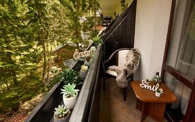 Let'S Ski - Wild & Free Ideal Room With View